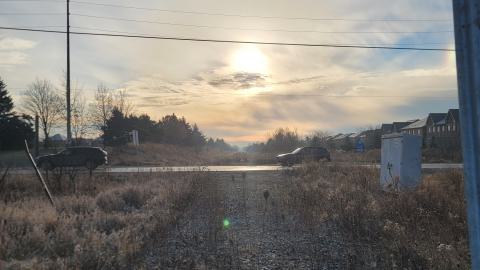 Almost The Whole Thing - 20241231_091217.jpg