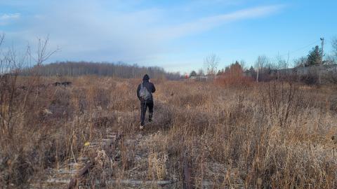 Almost The Whole Thing - 20241231_091213.jpg