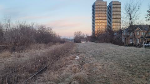 Almost The Whole Thing - 20241231_080314.jpg