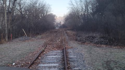 Almost The Whole Thing - 20241231_075719.jpg