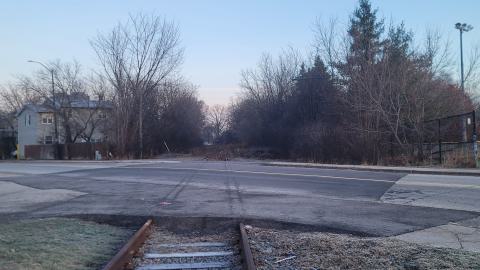 Almost The Whole Thing - 20241231_075639.jpg