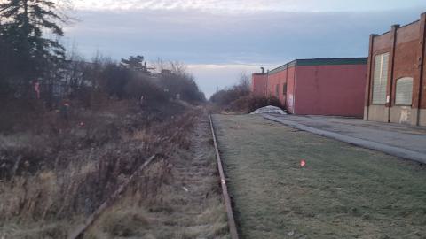 Almost The Whole Thing - 20241231_075634.jpg