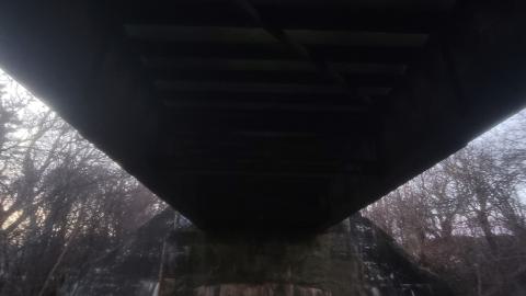 Almost The Whole Thing - 20241231_074708.jpg