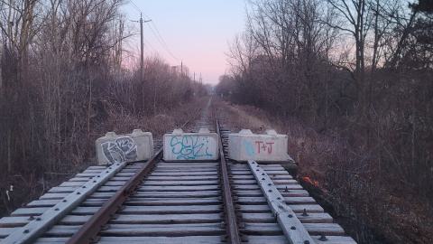 Almost The Whole Thing - 20241231_074439.jpg