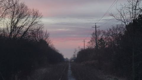 Almost The Whole Thing - 20241231_074425.jpg