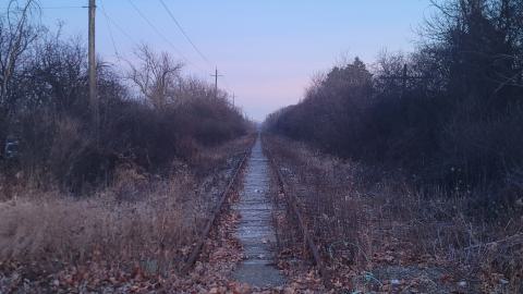 Almost The Whole Thing - 20241231_073822.jpg