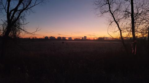 Almost The Whole Thing - 20241231_072641.jpg