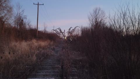 Almost The Whole Thing - 20241231_072244.jpg