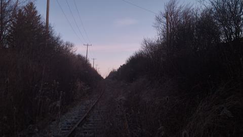 Almost The Whole Thing - 20241231_071542.jpg