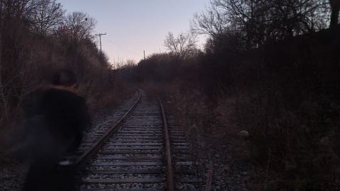 Almost The Whole Thing - 20241231_071257.jpg