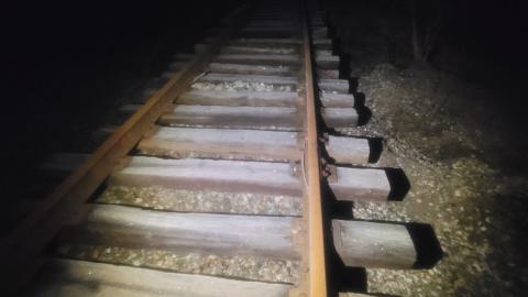 Almost The Whole Thing - 20241231_071014.jpg