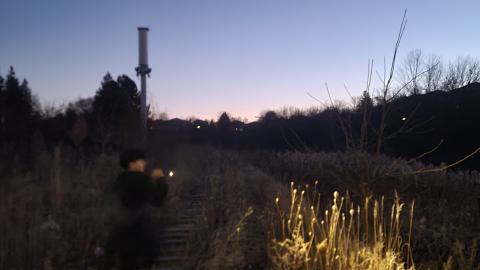 Almost The Whole Thing - 20241231_070743.jpg