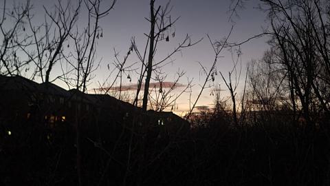 Almost The Whole Thing - 20241231_065732.jpg