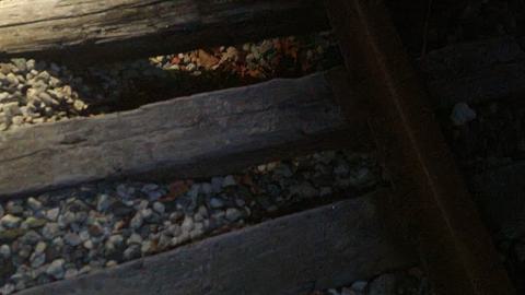 Almost The Whole Thing - 20241231_065638.jpg