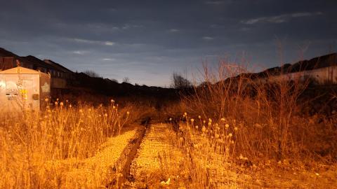 Almost The Whole Thing - 20241231_063733.jpg