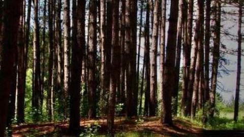 Dyin' to go back - Dyer-Memorial-Hunstville16.jpg