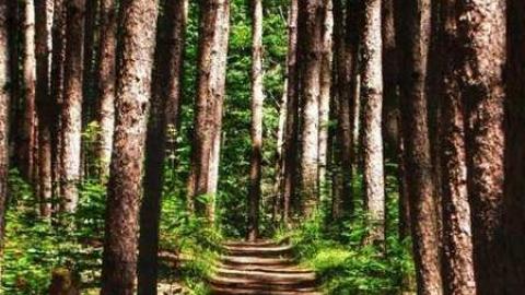 Dyin' to go back - Dyer-Memorial-Hunstville17.jpg