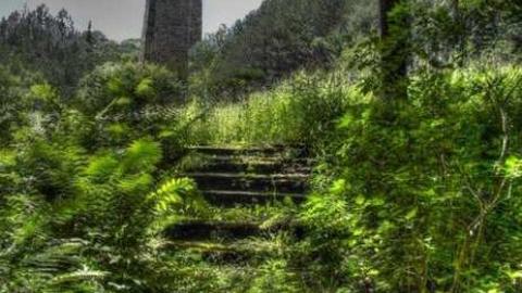 Dyin' to go back - Dyer-Memorial-Hunstville18.jpg