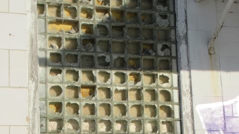 Dec. 14, 2024 - IMG_1499.JPG