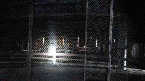 Dec. 14, 2024 - IMG_1514.JPG