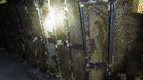 Dec. 14, 2024 - IMG_1588.JPG