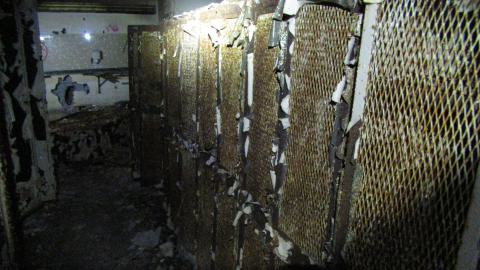 Dec. 14, 2024 - IMG_1605.JPG