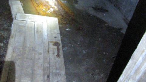 Dec. 14, 2024 - IMG_1666.JPG