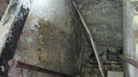 Dec. 14, 2024 - IMG_1682.JPG