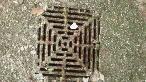 Dec. 14, 2024 - IMG_1796.JPG