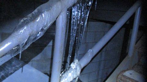 Dec. 14, 2024 - IMG_1804.JPG