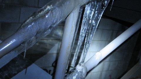 Dec. 14, 2024 - IMG_1807.JPG