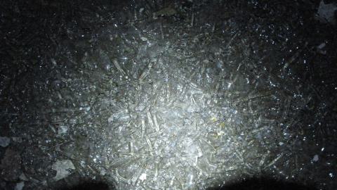 Dec. 14, 2024 - IMG_1937.JPG