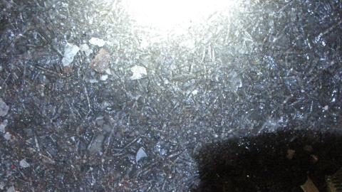 Dec. 14, 2024 - IMG_1939.JPG