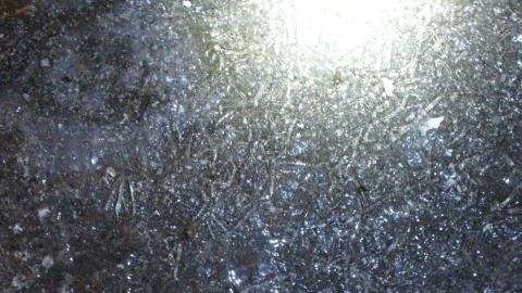 Dec. 14, 2024 - IMG_1944.JPG