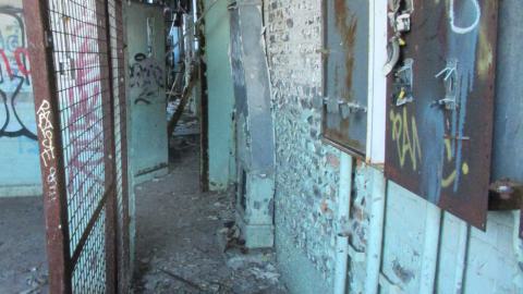 Dec. 14, 2024 - IMG_1958.JPG