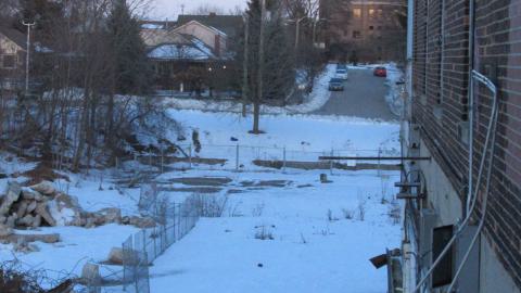 Dec. 14, 2024 - IMG_1988.JPG