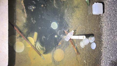 Film Fuckery (July 2024) - IMG_5404 (1).jpg