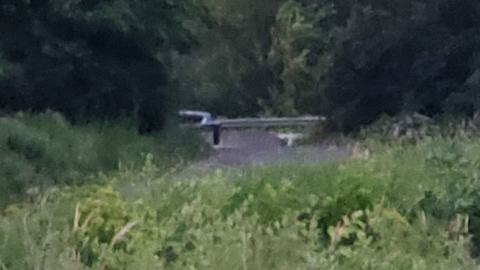 Path leading to the Home and the Semi Detached Quarry