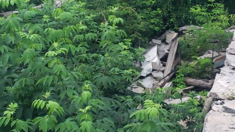 Standing on the Basement walls The upstairs is gone
