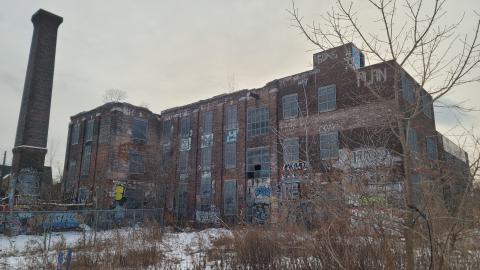 The Masked Man - 20250112_160643.jpg