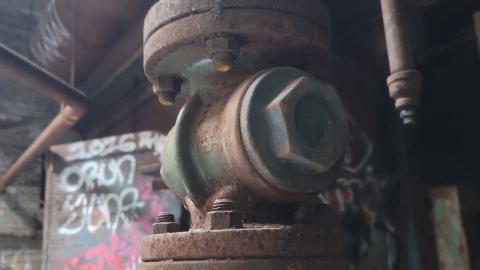 The Masked Man - 20250112_154546.jpg