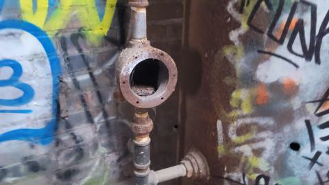 The Masked Man - 20250112_154457.jpg