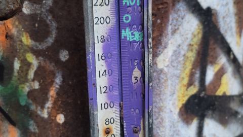 The Masked Man - 20250112_154406.jpg