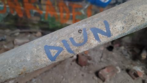 The Masked Man - 20250112_154355.jpg