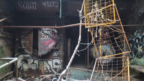 The Masked Man - 20250112_154347.jpg