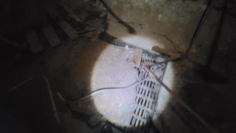 The Masked Man - 20250112_153912.jpg