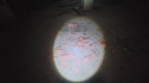 The Masked Man - 20250112_153636.jpg