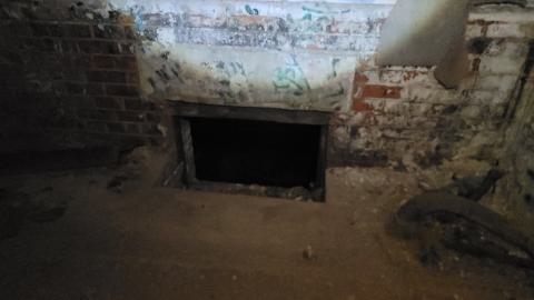 The Masked Man - 20250112_153224.jpg