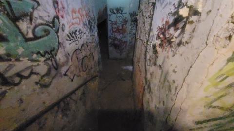 The Masked Man - 20250112_152703.jpg