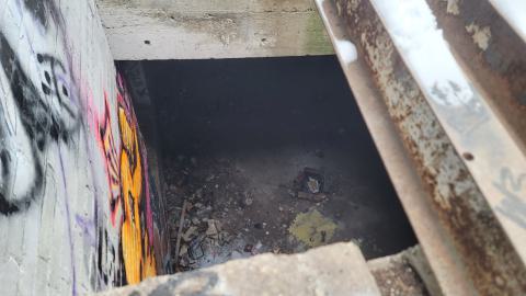 The Masked Man - 20250112_150944.jpg